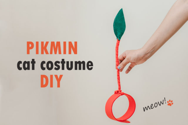 Pikmin cat costume DIY - The cat, you and us