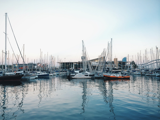 Barcelona port - The cat, you and us