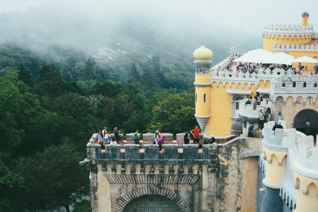 Palacio da Pena - The cat, you and us