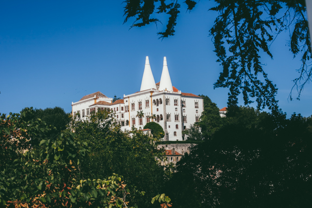 Sintra National Palace - The cat, you and us