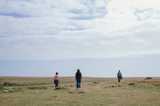 Pembrokeshire coast Stackpole - The cat, you and us