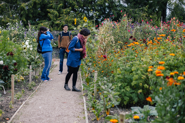 Aberglasney garden - The cat, you and us