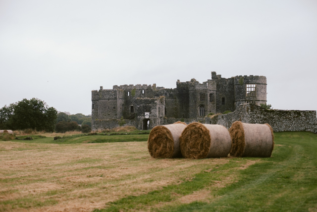 Carew Castle - The cat, you and us