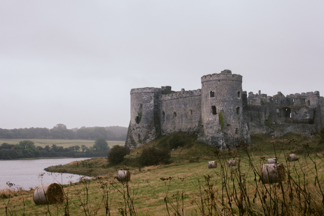 Carew Castle - The cat, you and us