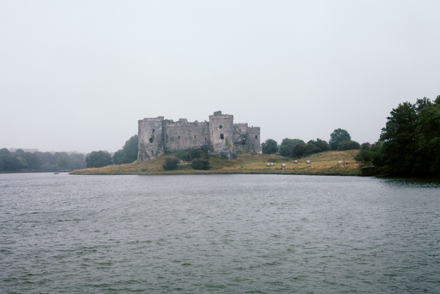 Carew Castle - The cat, you and us