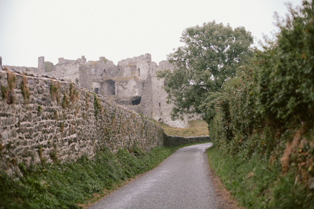Carew Castle - The cat, you and us