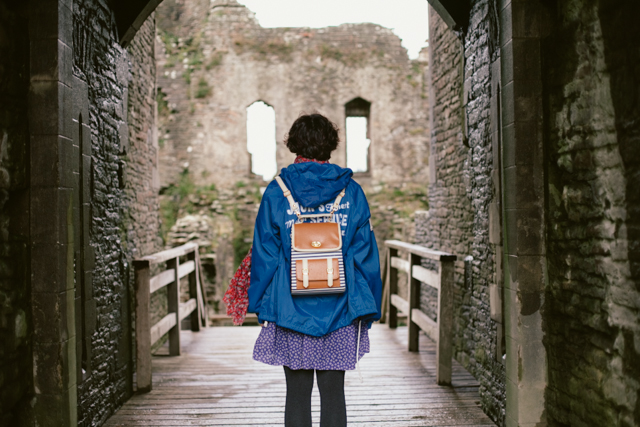 Caerphilly castle - The cat, you and us