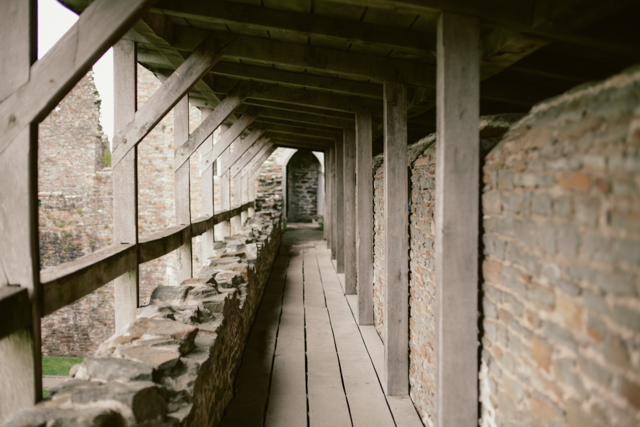 Caerphilly castle - The cat, you and us