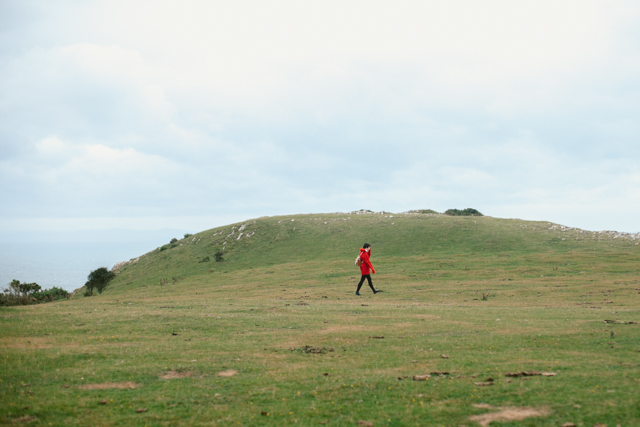 Three Cliffs Bay - The cat, you and us