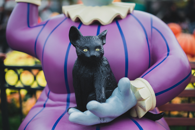 Disneyland Paris Halloween - The cat, you and us