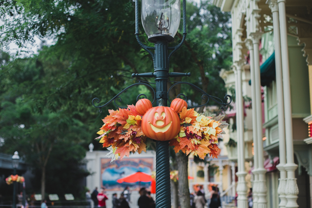 Disneyland Paris Halloween - The cat, you and us