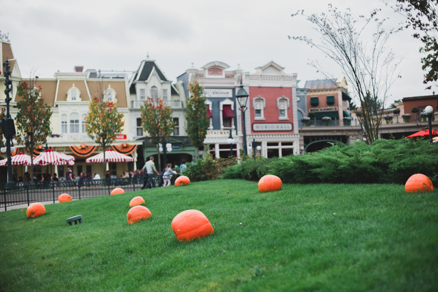 Disneyland Paris Halloween - The cat, you and us