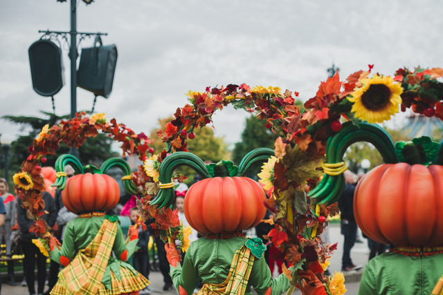 Disneyland Paris Harvest Parade - The cat, you and us