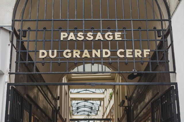 Passage du Grand Cerf - The cat, you and us