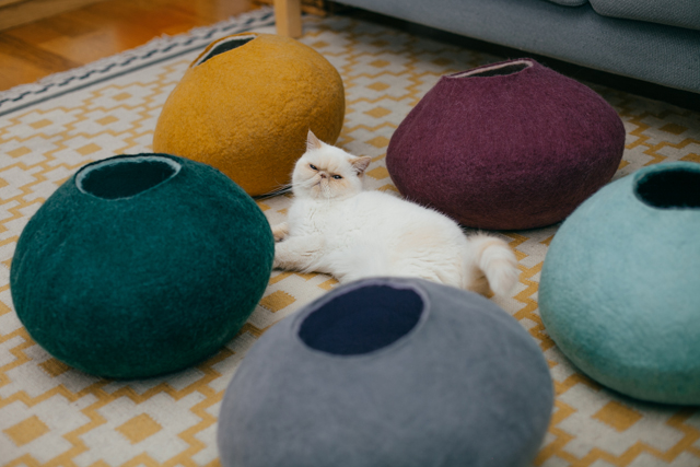 Juno for rronrron AW 2014 - The cat, you and us