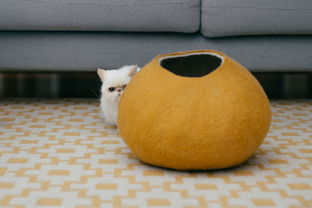 Giveaway: Win a gold comfy rronrron cat felt house - The cat, you and us