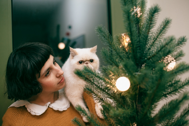 Christmas 2014 decorations - The cat, you and us