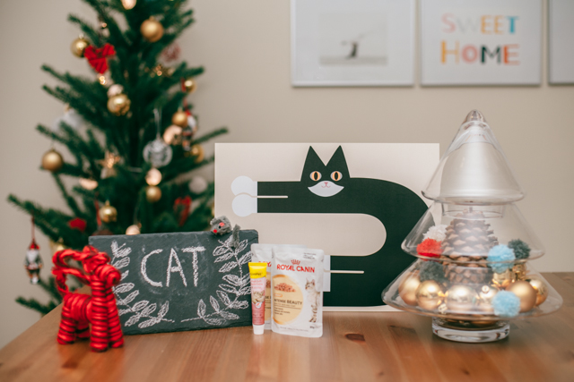 Christmas gifts 2014 - The cat, you and us