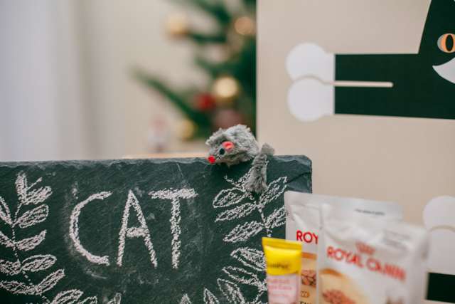 Christmas gifts 2014 - The cat, you and us