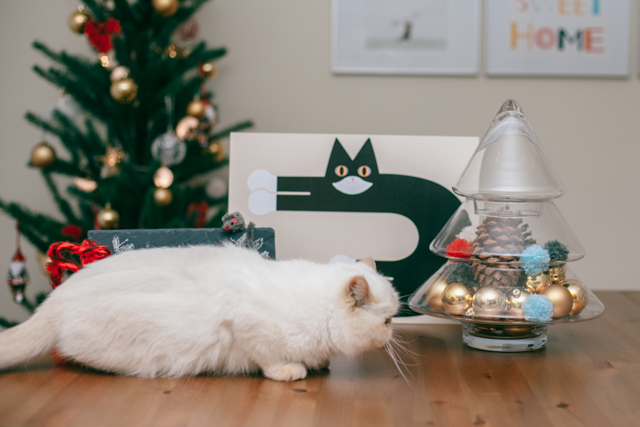 Christmas gifts 2014 - The cat, you and us