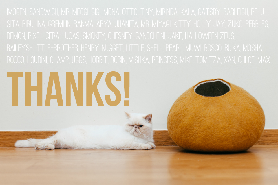 thanks - The cat, you and us