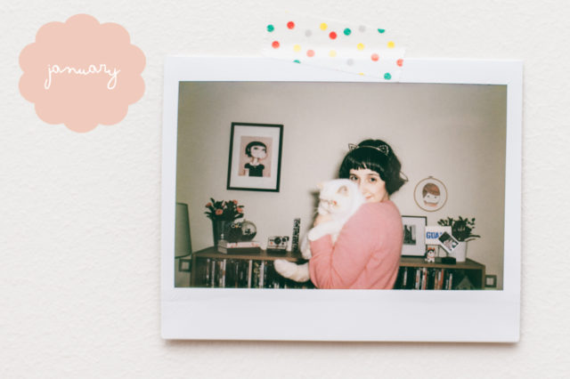 Instax challenge - The cat, you and us