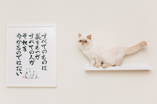 Nagataya Kyoto giveaway - The cat, you and us