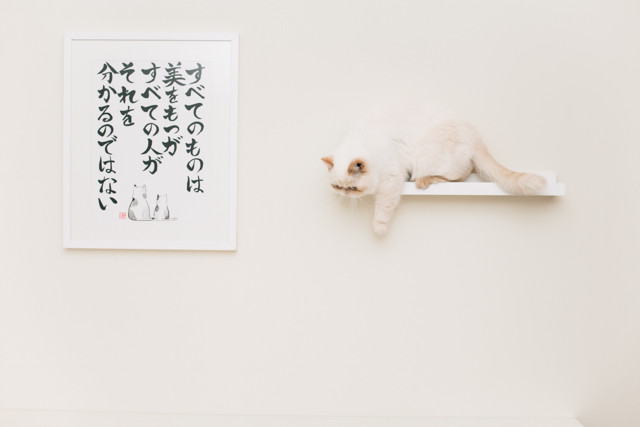 Nagataya Kyoto giveaway - The cat, you and us