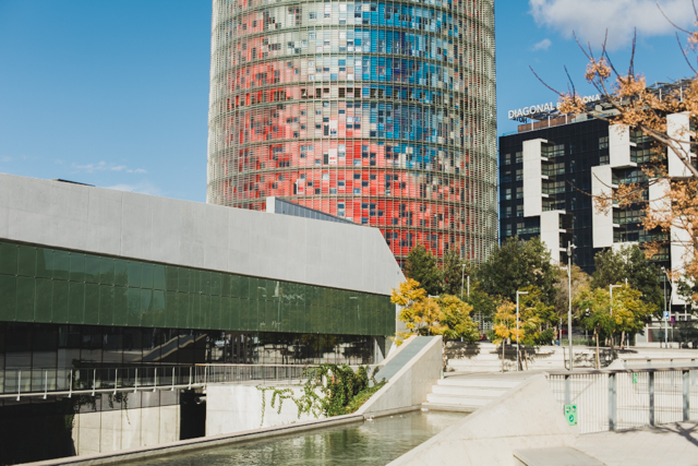 Torre Agbar - The cat, you and us