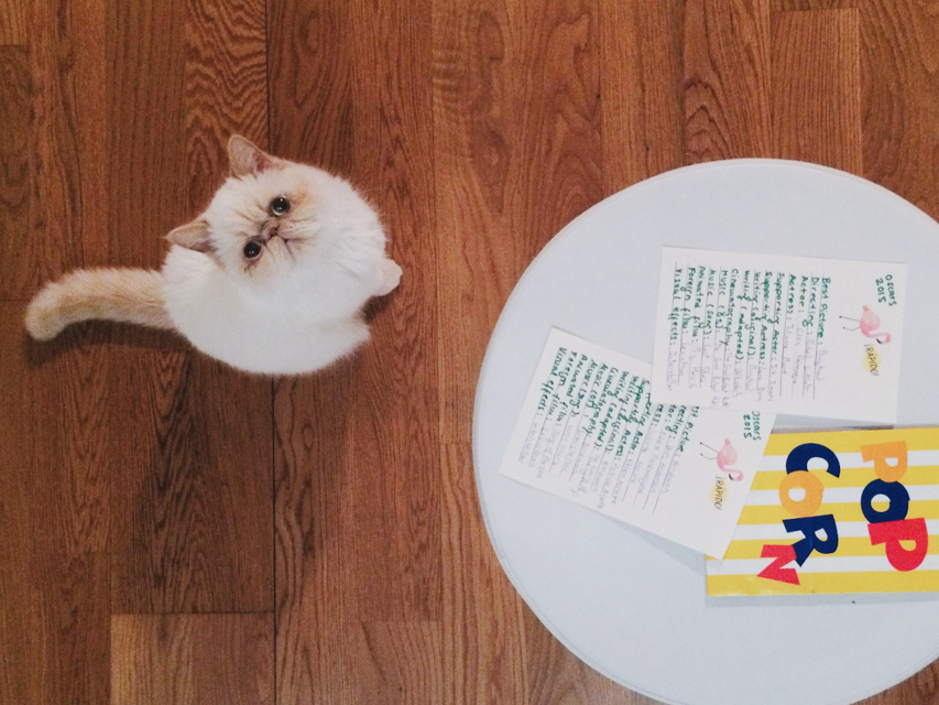 Juno with Oscar ballots - The cat, you and us