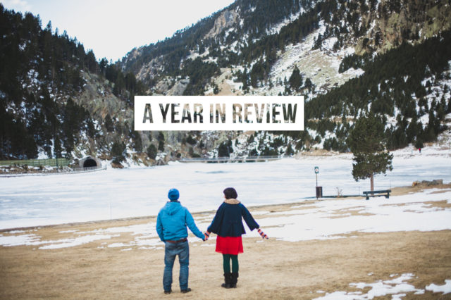 A year in review - The cat, you and us