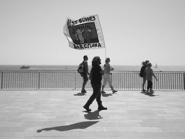 Best buddies Barcelona - The cat, you and us