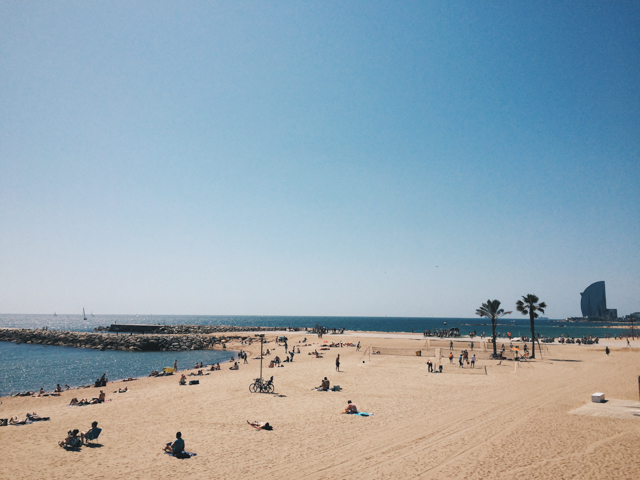 Barcelona seaside - The cat, you and us