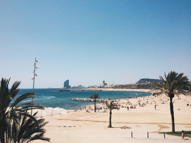 Barcelona seaside - The cat, you and us