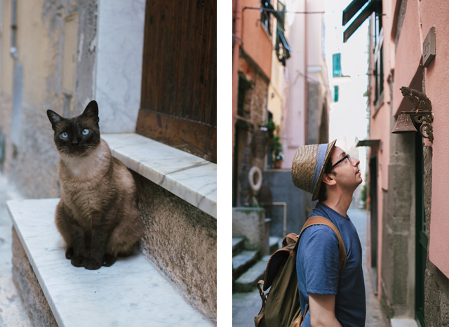 Vernazza - The cat, you and us