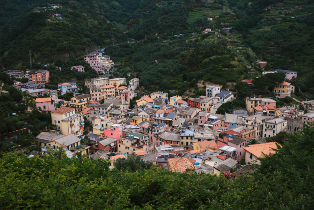 Monterosso - The cat, you and us