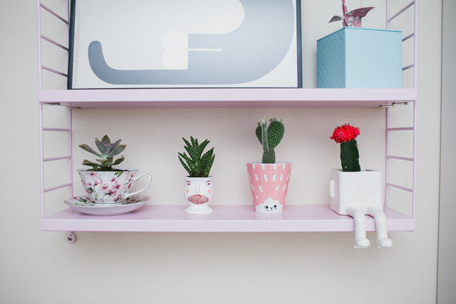 String pocket pink cactus - The cat, you and us