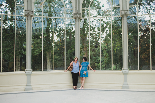 Palacio de cristal - The cat, you and us