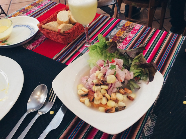 Santa Ceviche - The cat, you and us