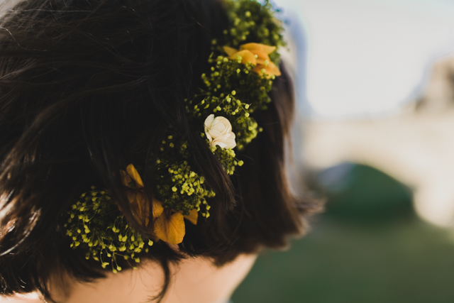 Flower crown - The cat, you and us