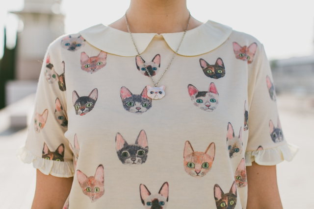 cat t-shirt - The cat, you and us