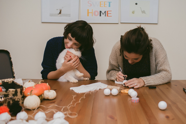 Juno the little DIY helper - The cat, you and us