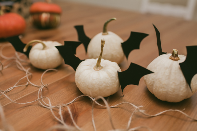 Bat pumpkins - The cat, you and us