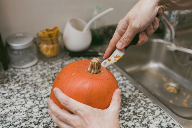 Pumpkin craving - The cat, you and us