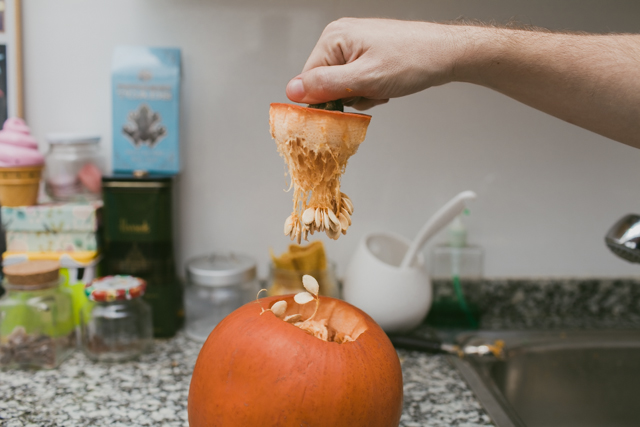 Pumpkin craving - The cat, you and us
