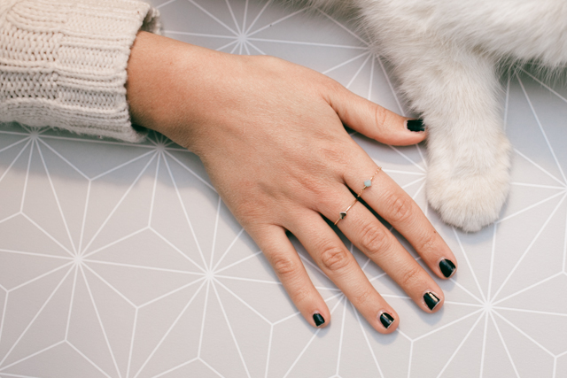 Sparkles are a girl's best friend - The cat, you and us