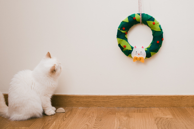 DIY Christmas felt wreath - The cat, you and us