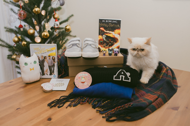 Juno and her Christmas gift haul 2015 - The cat, you and us