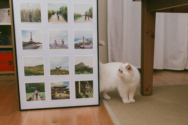 Adventures in a frame - The cat, you and us