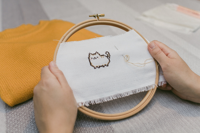 Pusheen cross-stitch DIY for a sweater - The cat, you and us